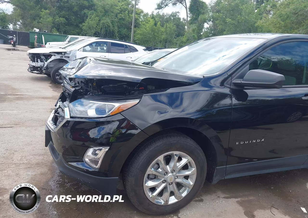 2020 Chevrolet Equinox Fwd Ls VIN:2GNAXHEV1L6115034 - 18