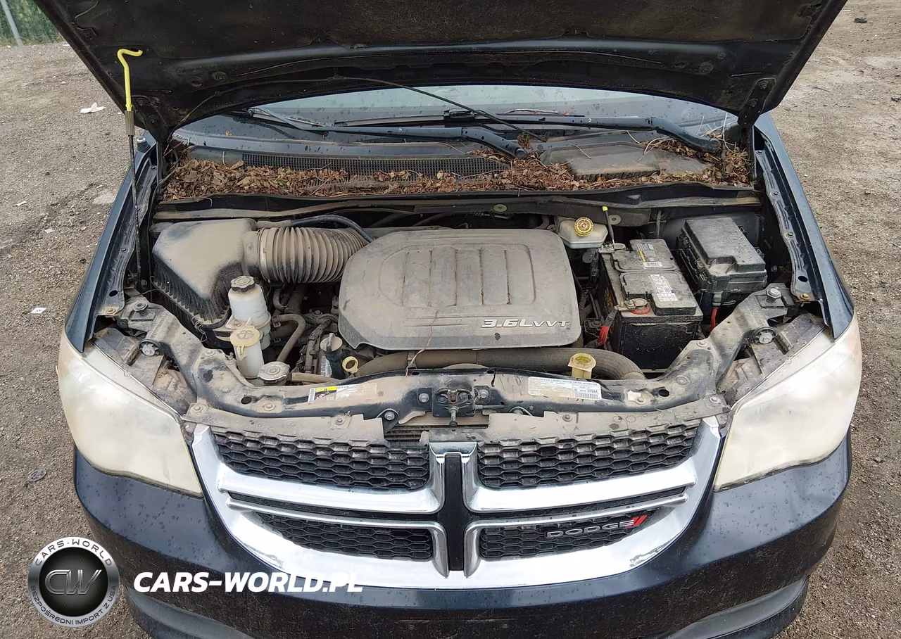 2013 Dodge Grand Caravan Sxt VIN:2C4RDGCG6DR739849 - 10