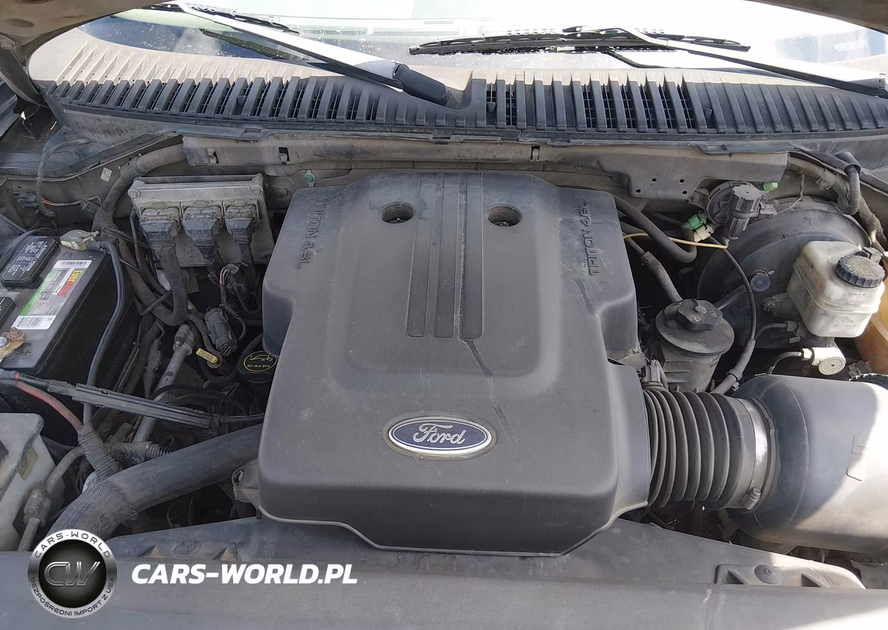 2004 Ford Expedition Xls VIN:1FMRU13W24LB67901 - 10