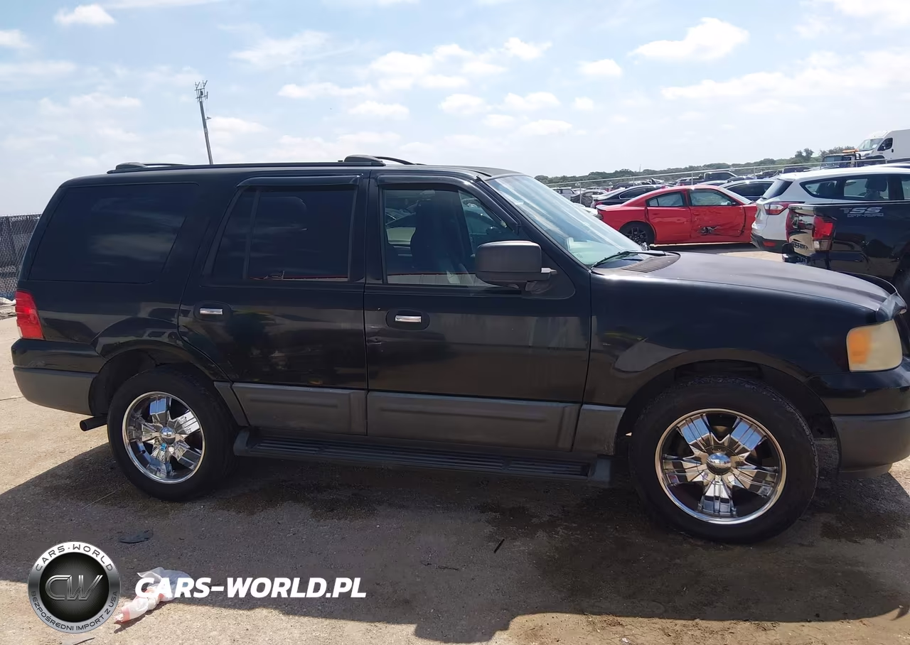 2004 Ford Expedition Xls VIN:1FMRU13W24LB67901 - 13