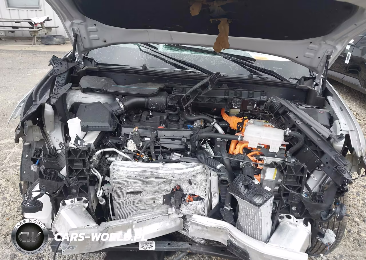 2025 Hyundai Santa Fe Hybrid Sel VIN:5NMP2DG18SH069083 - 10