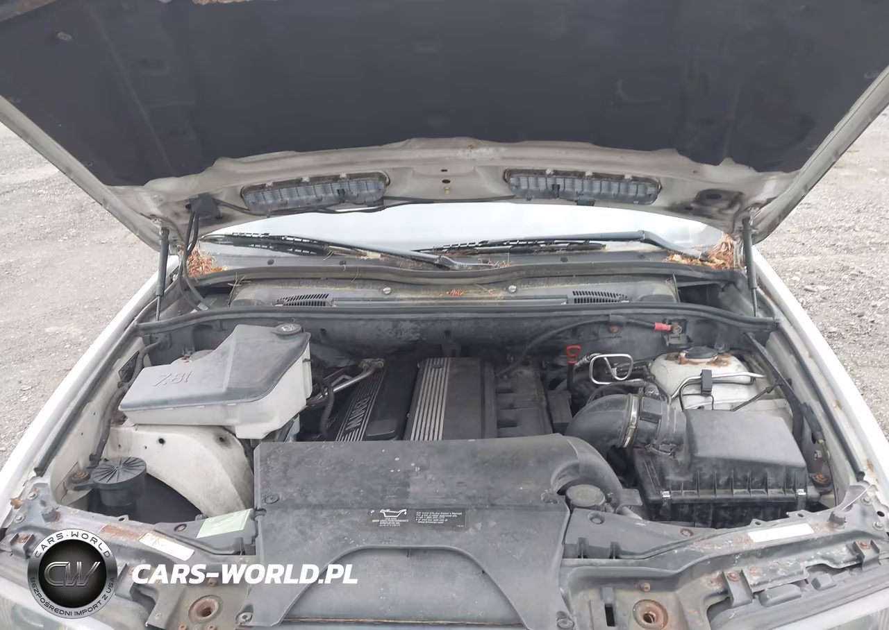 2003 BMW X5 3.0I VIN:5UXFA53583LH80846 - 10