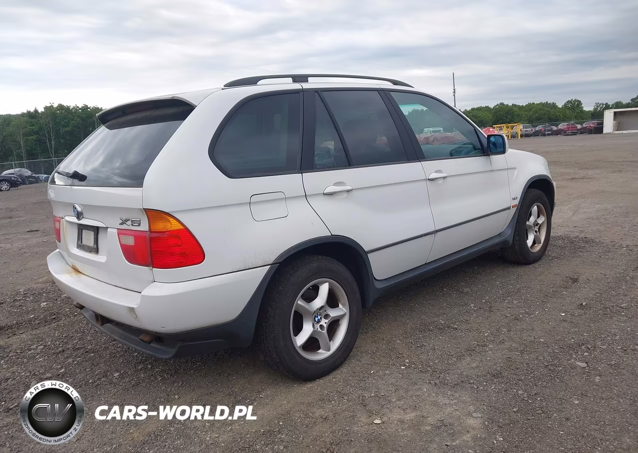 2003 BMW X5 3.0I VIN:5UXFA53583LH80846 - 4