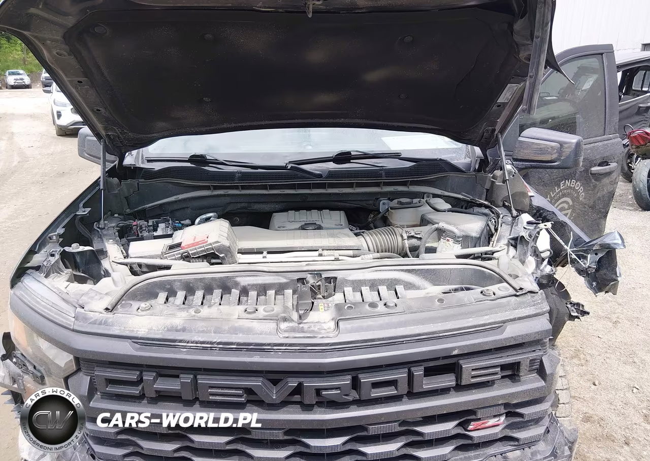 2024 Chevrolet Silverado 1500 4Wd Short Bed Custom Trail Boss VIN:3GCPDCEK8RG182263 - 10
