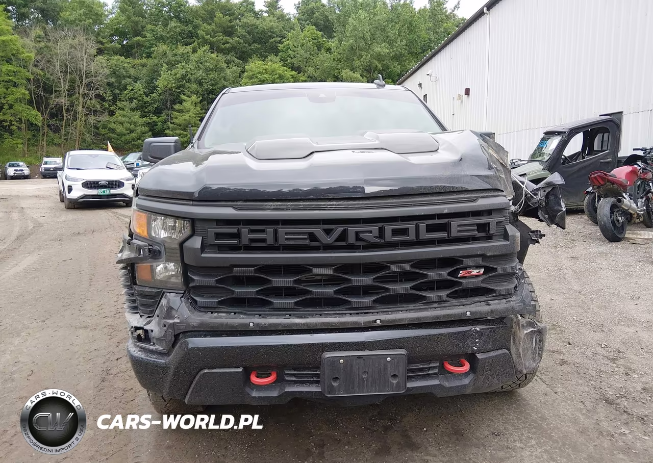 2024 Chevrolet Silverado 1500 4Wd Short Bed Custom Trail Boss VIN:3GCPDCEK8RG182263 - 12