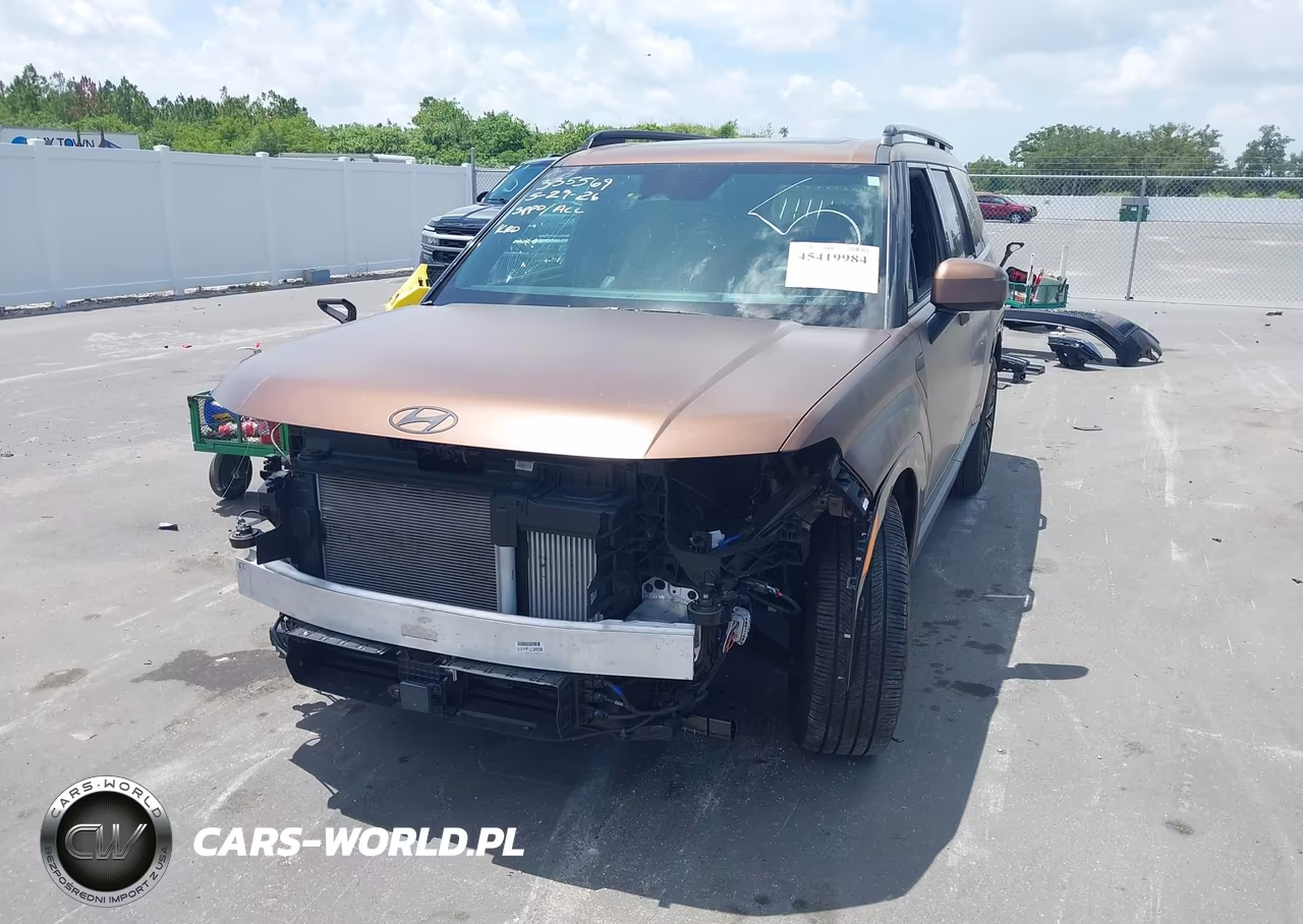 2024 Hyundai Santa Fe Calligraphy VIN:5NMP54GL5RH049618 - 2