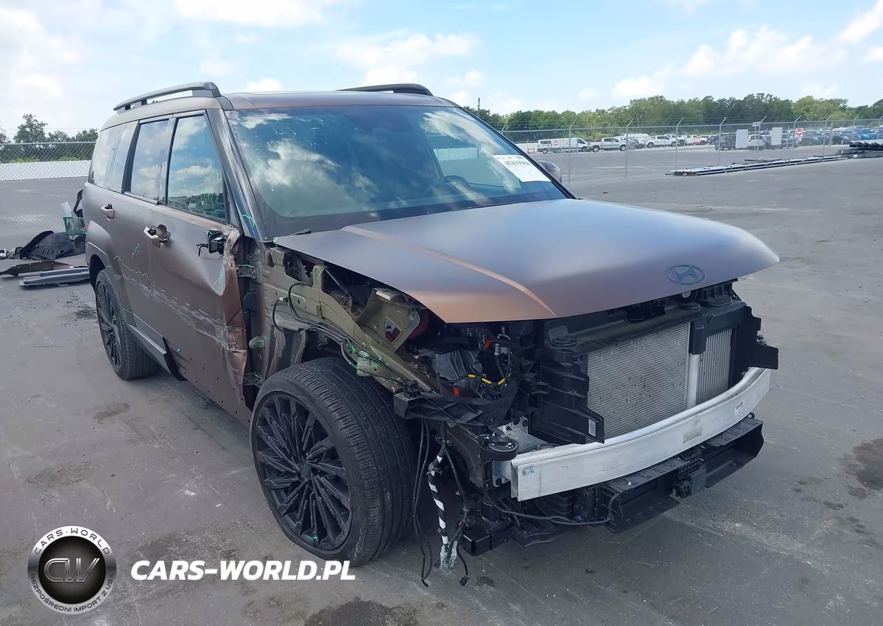 2024 Hyundai Santa Fe Calligraphy VIN:5NMP54GL5RH049618 - 6
