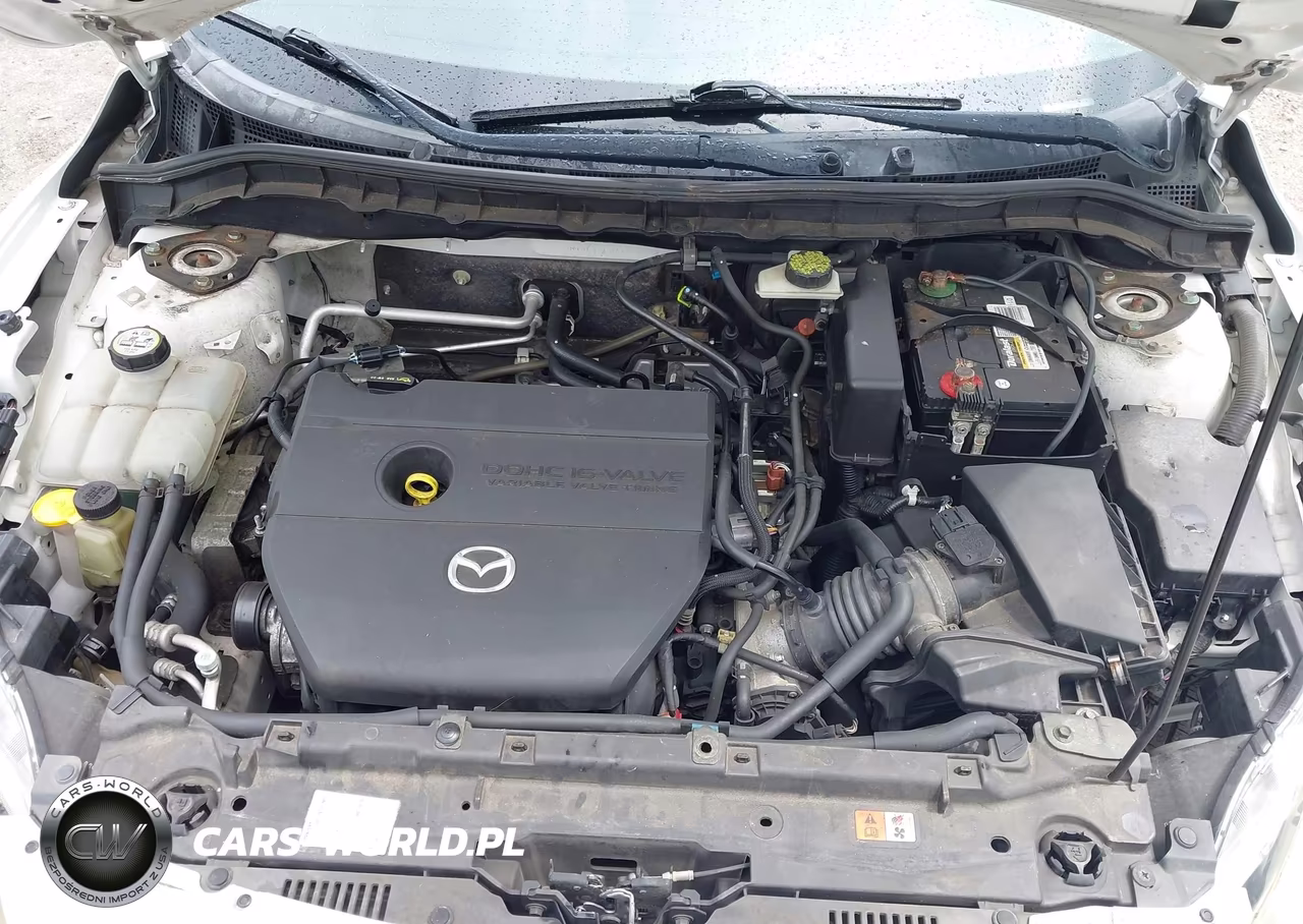 2010 Mazda 3 I VIN:JM1BL1SF8A1290524 - 10