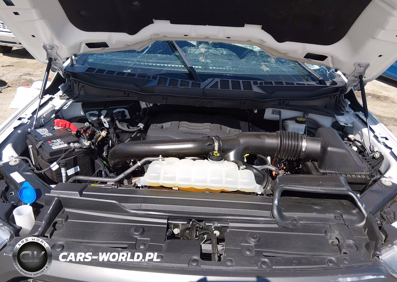 2023 Ford F-150 Xlt VIN:1FTFW1E89PFC16370 - 10