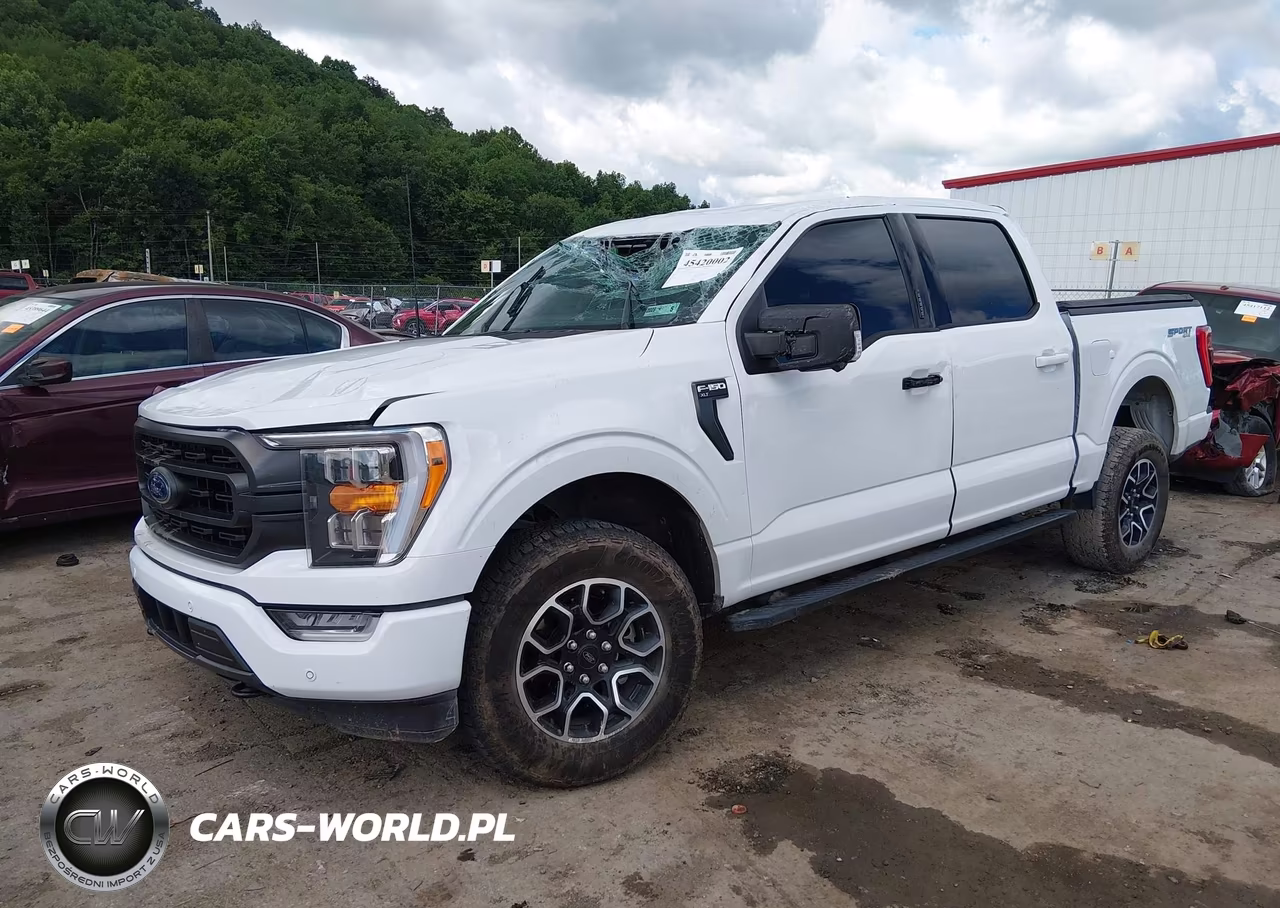 2023 Ford F-150 Xlt VIN:1FTFW1E89PFC16370 - 2