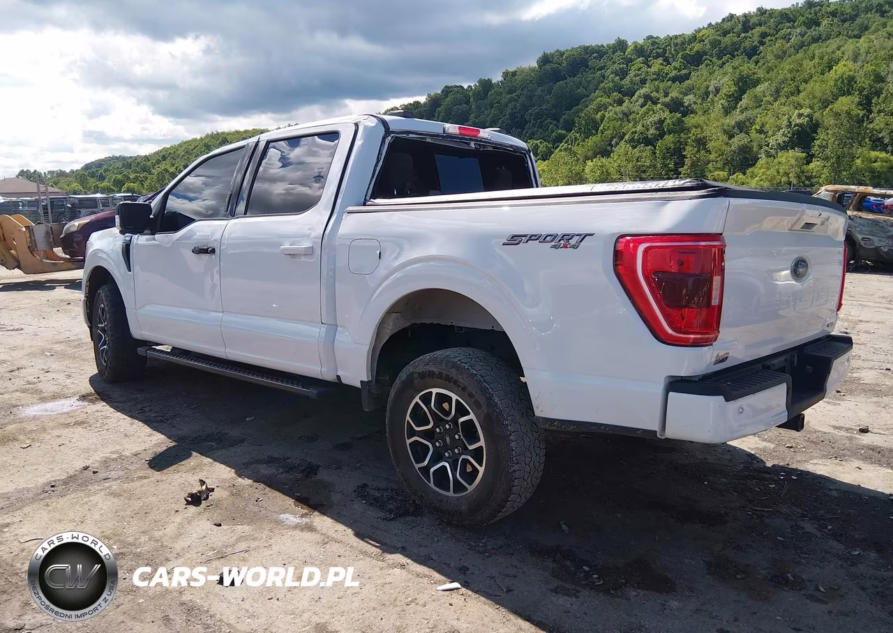 2023 Ford F-150 Xlt VIN:1FTFW1E89PFC16370 - 3