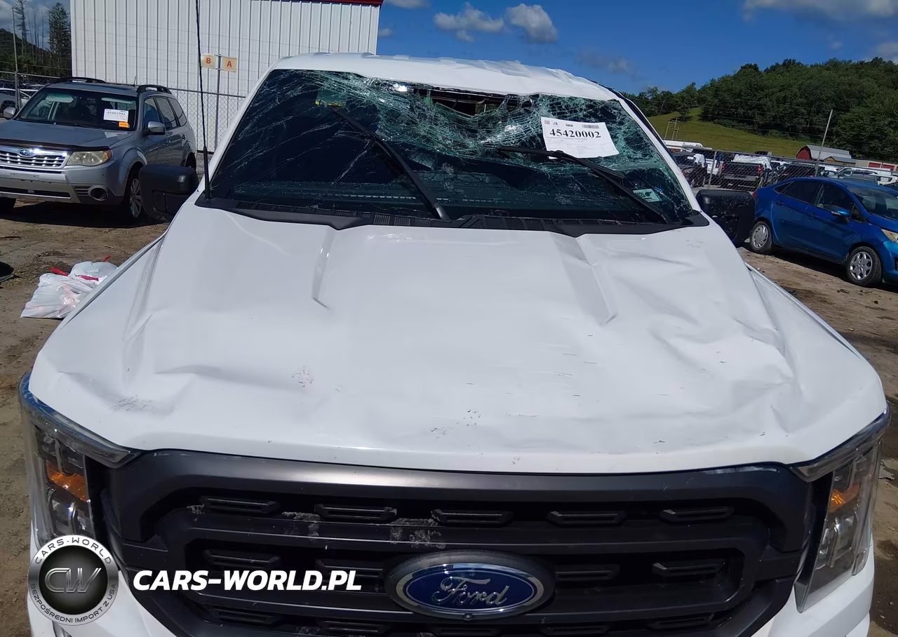 2023 Ford F-150 Xlt VIN:1FTFW1E89PFC16370 - 6
