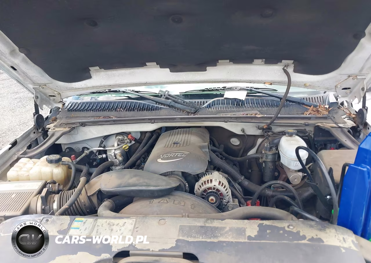 2003 Chevrolet Silverado 1500 Ls VIN:2GCEC19T431250642 - 10