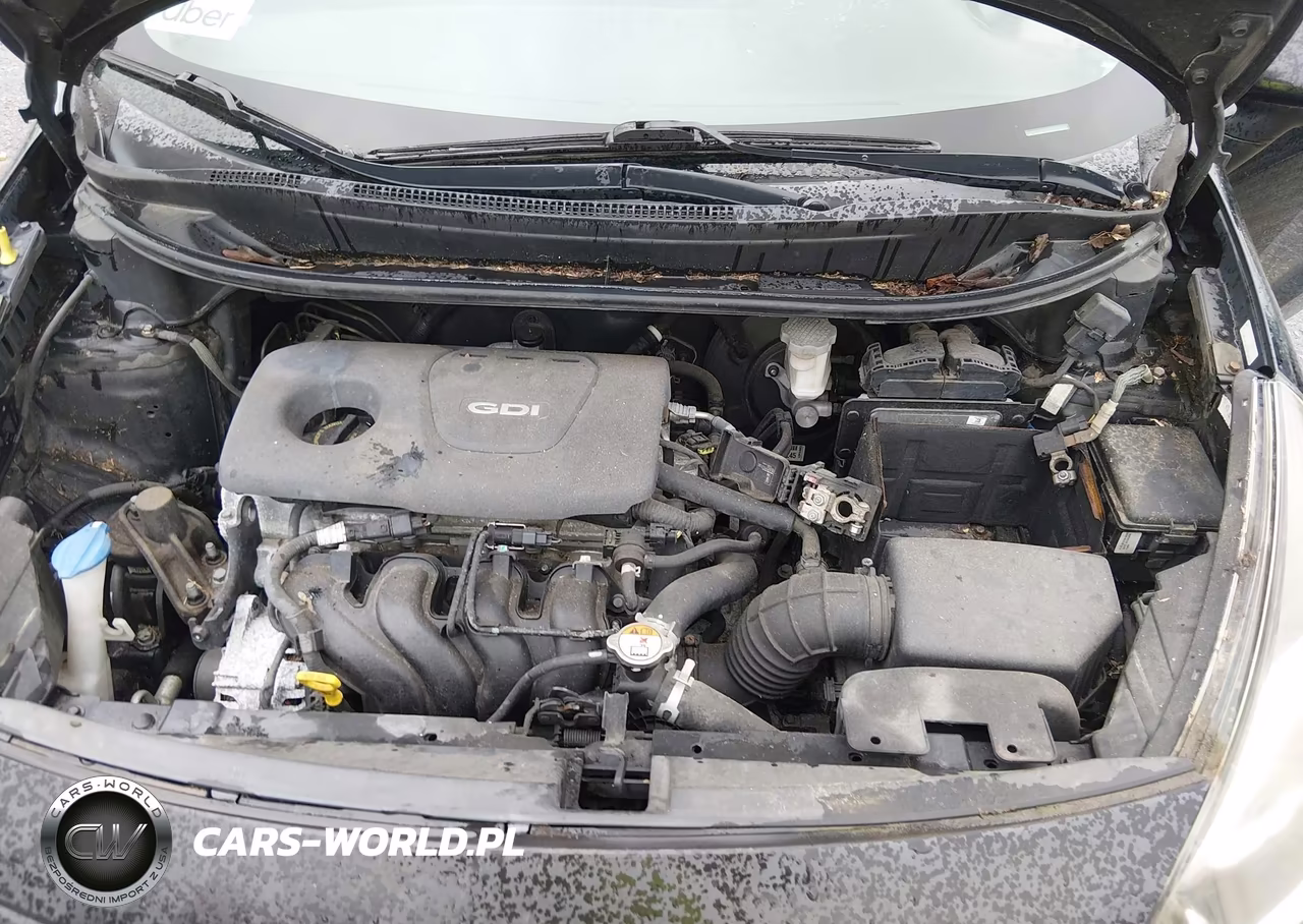 2017 Kia Rio Lx VIN:KNADM4A31H6005543 - 10