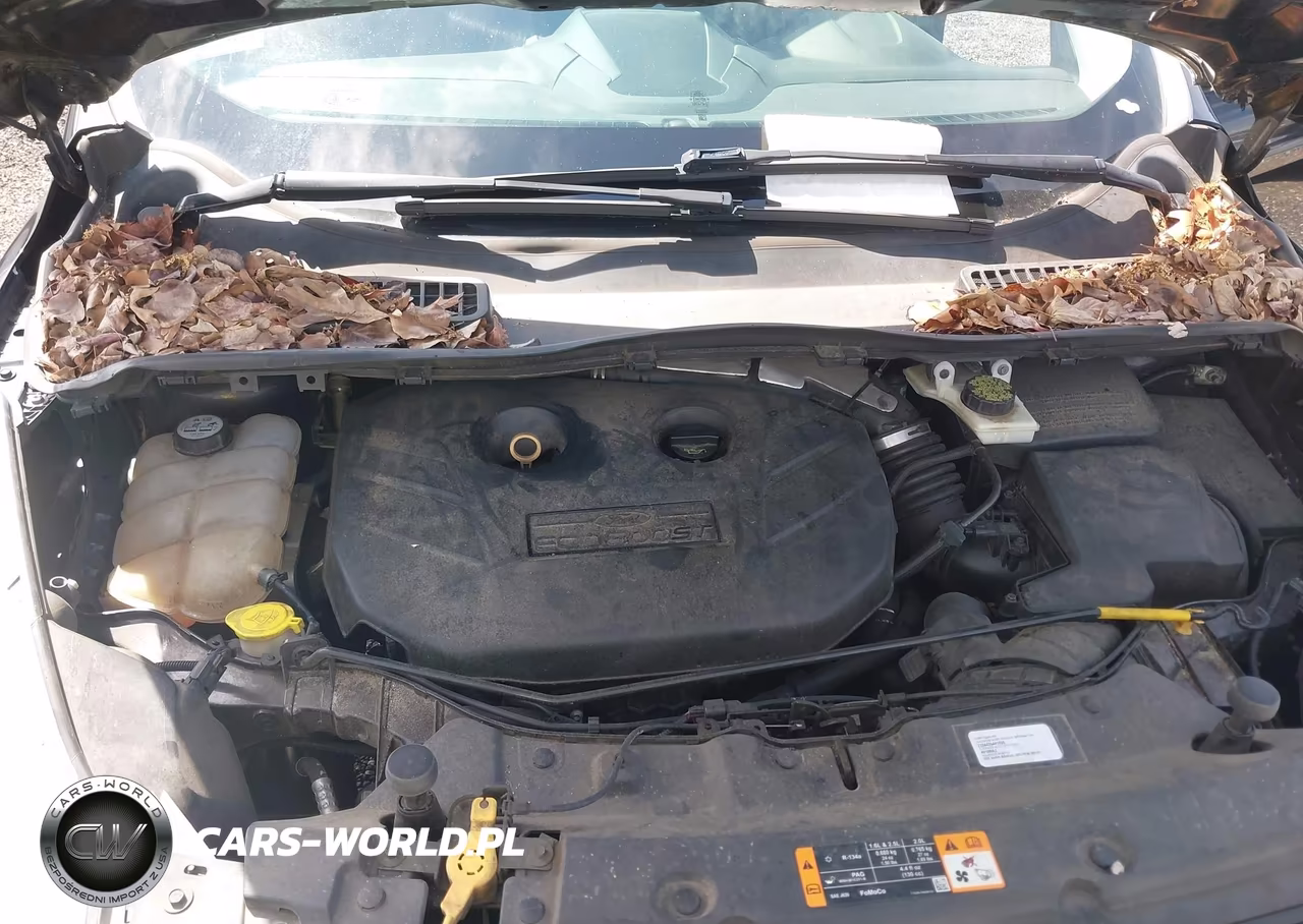 2013 Ford Escape Sel VIN:1FMCU9H90DUA10210 - 10
