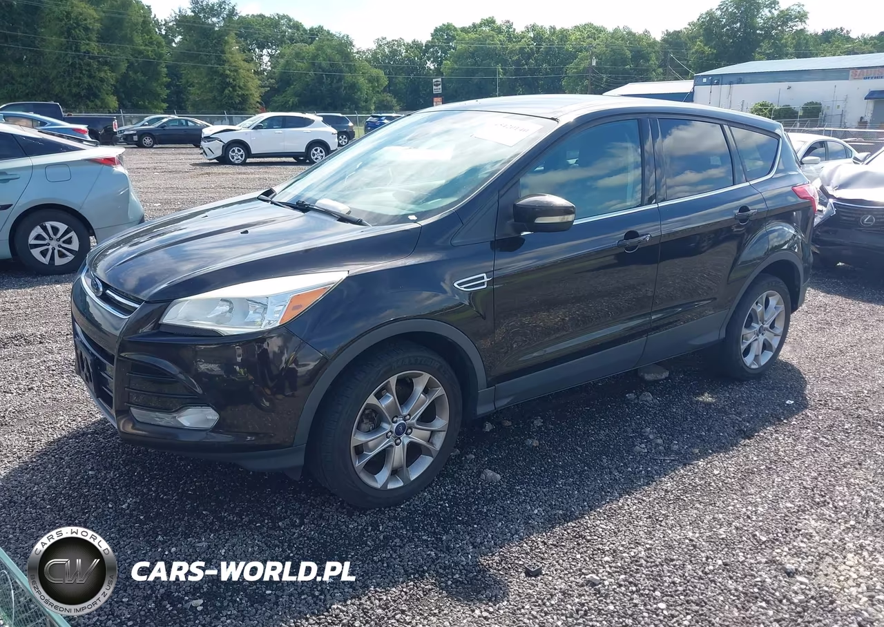 2013 Ford Escape Sel VIN:1FMCU9H90DUA10210 - 2