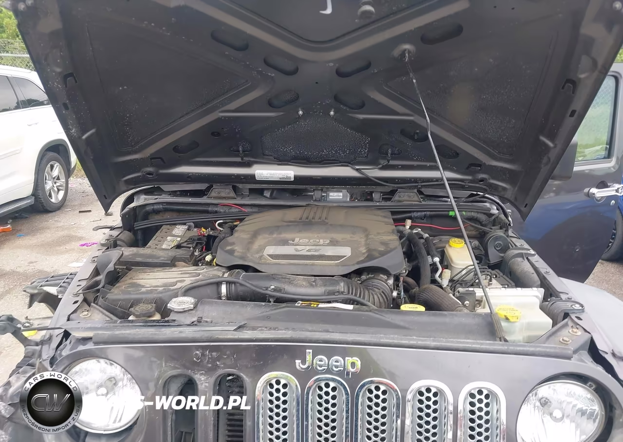 2016 Jeep Wrangler Unlimited Sport VIN:1C4BJWDG5GL250665 - 10