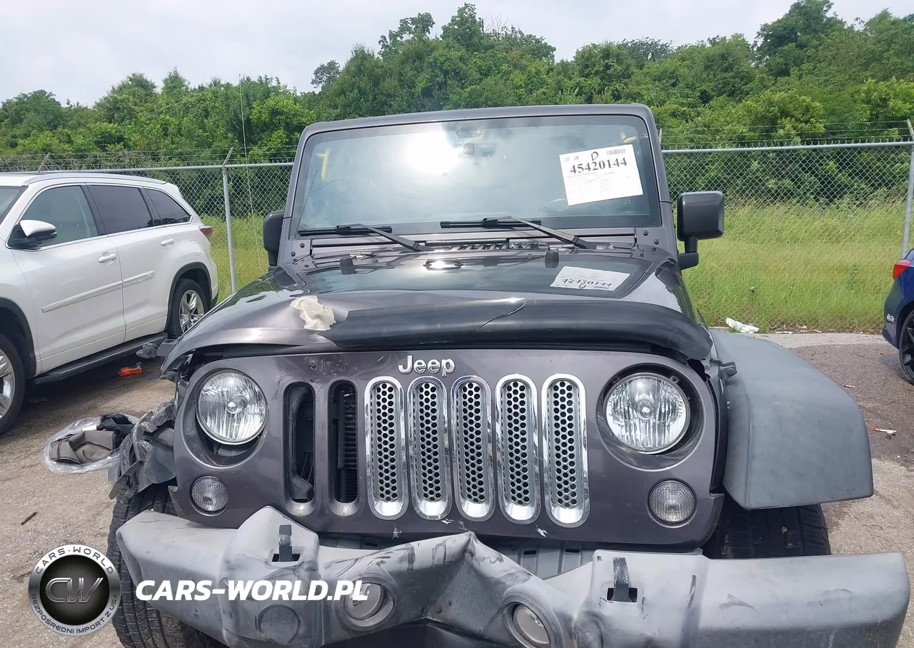 2016 Jeep Wrangler Unlimited Sport VIN:1C4BJWDG5GL250665 - 12