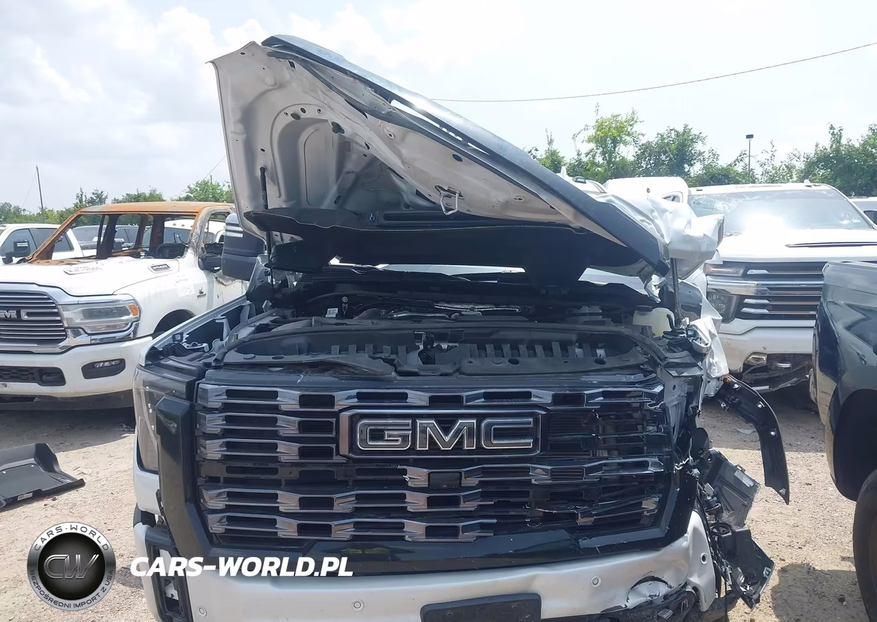 2025 GMC Sierra 2500Hd 4Wd Standard Bed Denali Ultimate VIN:1GT4UXEY9SF235221 - 12
