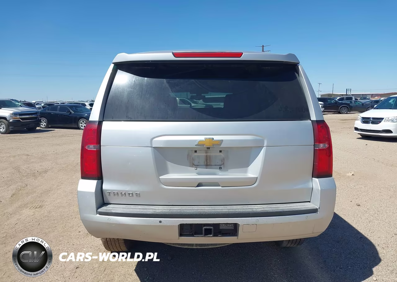 2017 Chevrolet Tahoe Commercial Fleet VIN:1GNSKEEC7HR318313 - 19