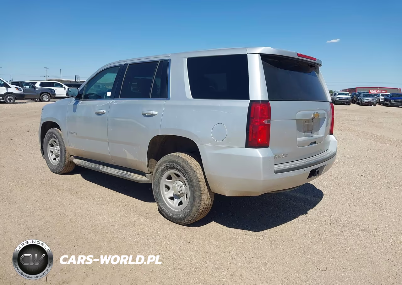 2017 Chevrolet Tahoe Commercial Fleet VIN:1GNSKEEC7HR318313 - 3