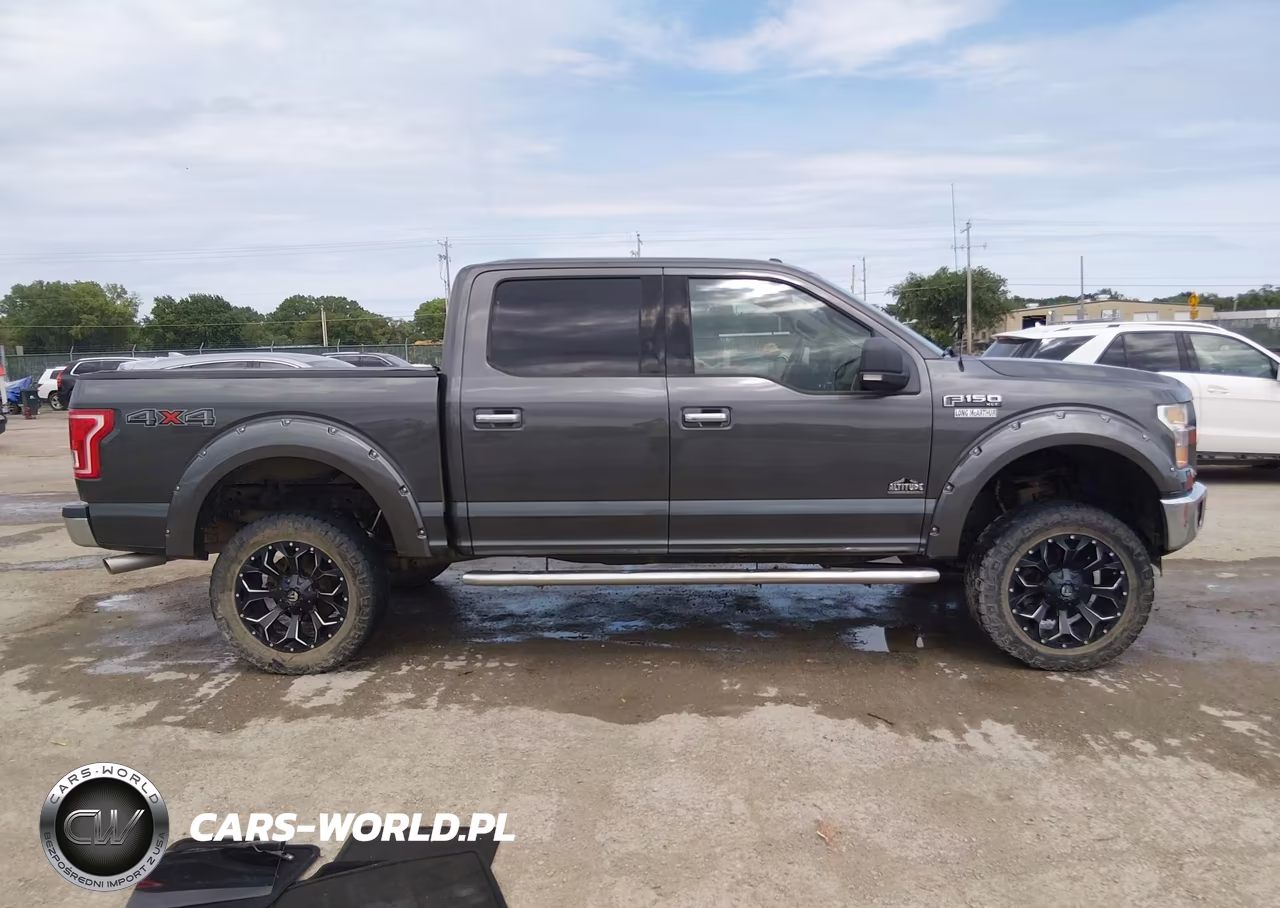 2015 Ford F-150 Xlt VIN:1FTEW1EF6FFA55310 - 13