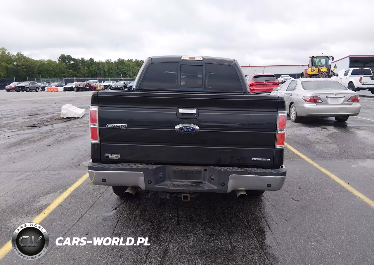 2013 Ford F-150 Fx2-King Ranch-Lariat-Platinum-Xl-Xlt VIN:1FTFW1CF7DFB88730 - 16
