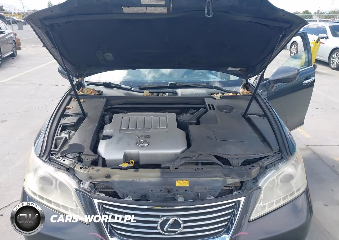 2007 Lexus Es 350 VIN:JTHBJ46G972107059 - 10