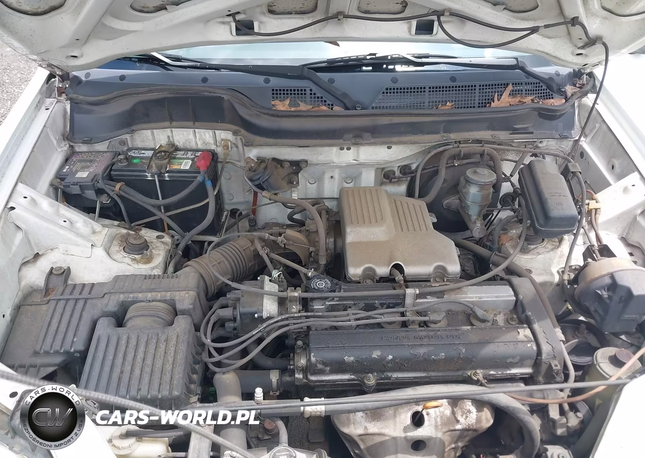 1999 Honda Cr-V Lx VIN:JHLRD2848XC006204 - 6