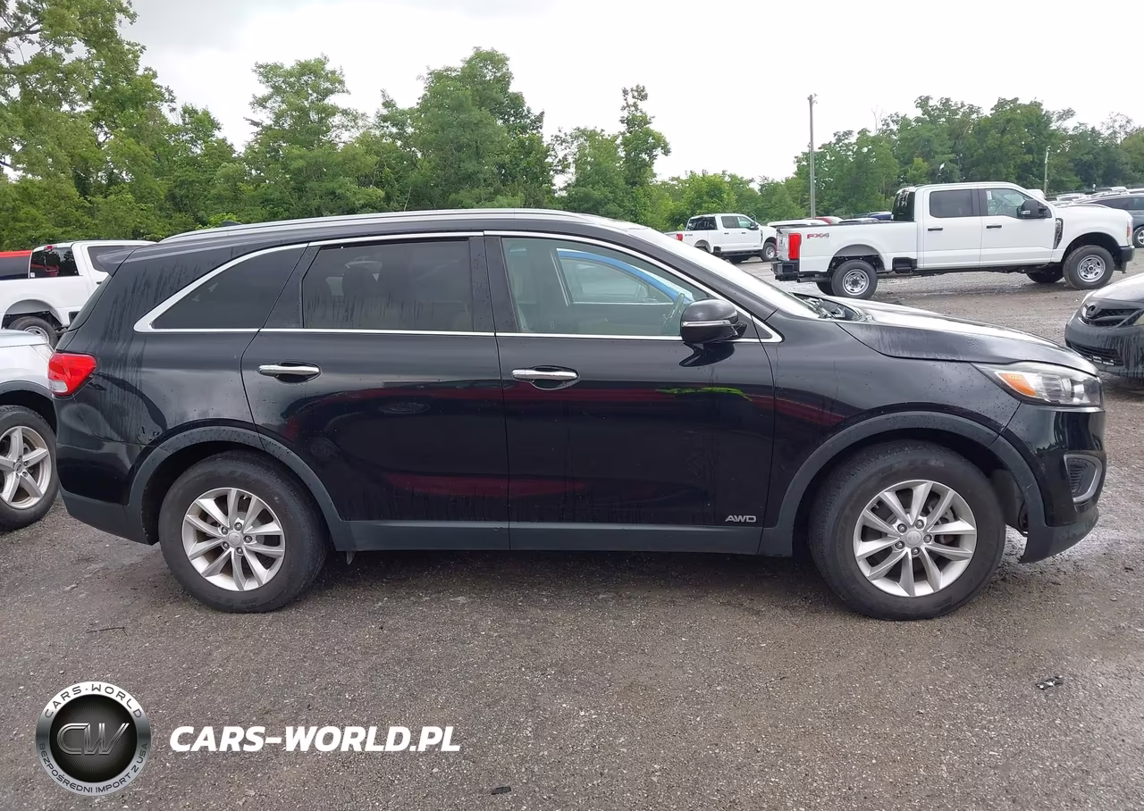 2016 Kia Sorento 2.4L Lx VIN:5XYPGDA31GG044250 - 13