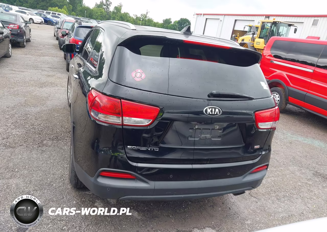 2016 Kia Sorento 2.4L Lx VIN:5XYPGDA31GG044250 - 16
