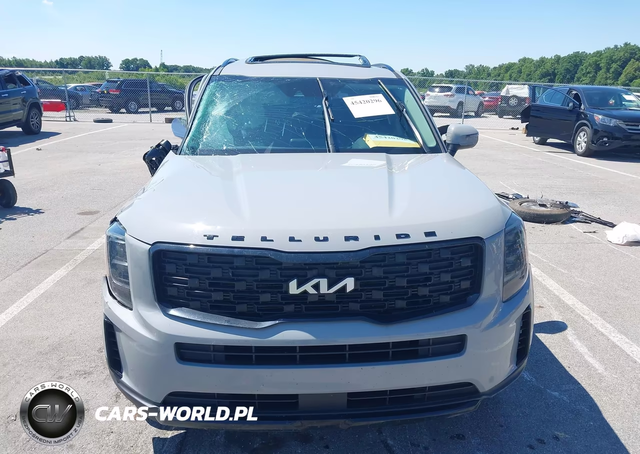 2022 Kia Telluride Ex VIN:5XYP3DHC4NG287128 - 13