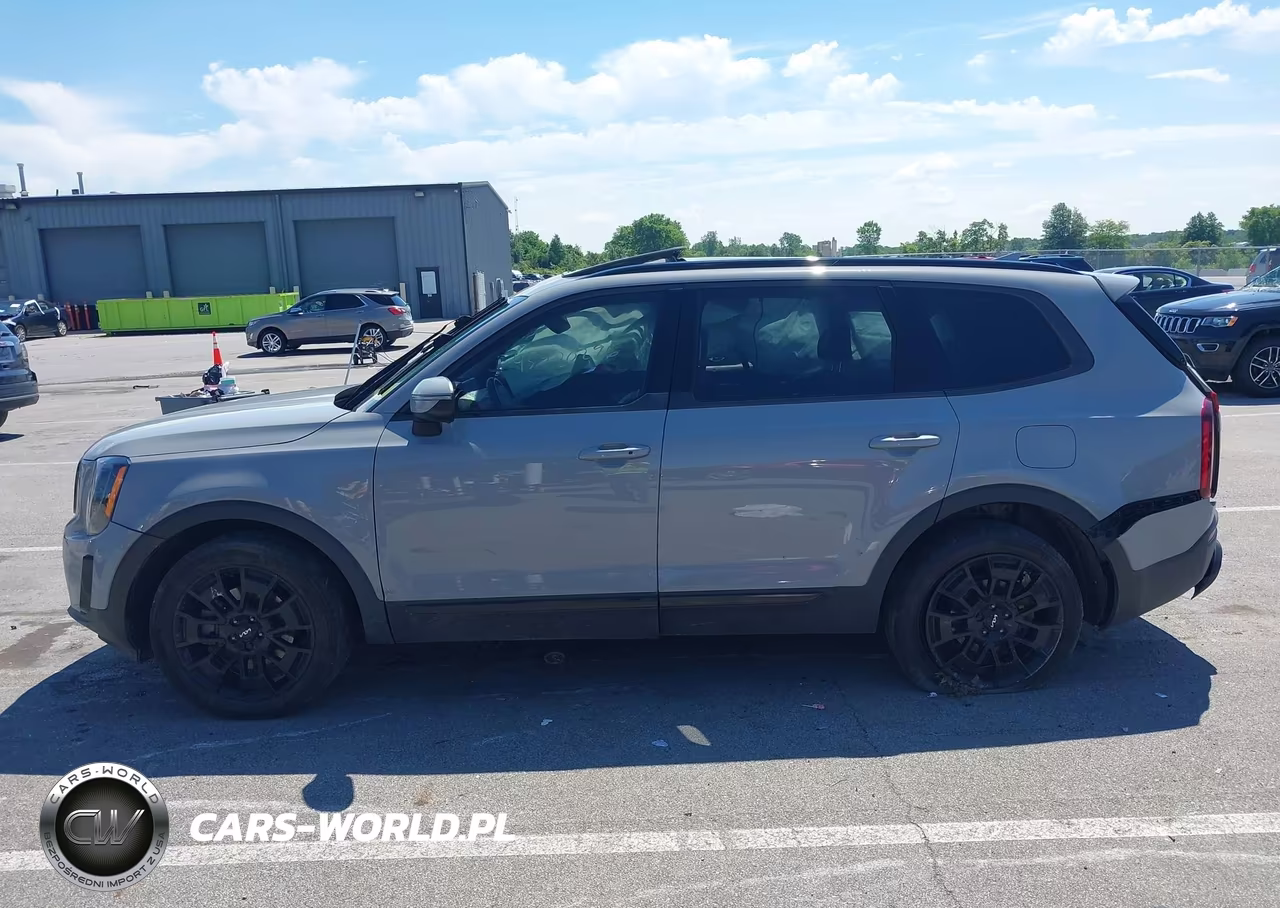 2022 Kia Telluride Ex VIN:5XYP3DHC4NG287128 - 15