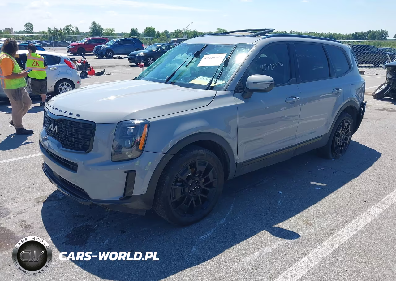 2022 Kia Telluride Ex VIN:5XYP3DHC4NG287128 - 2