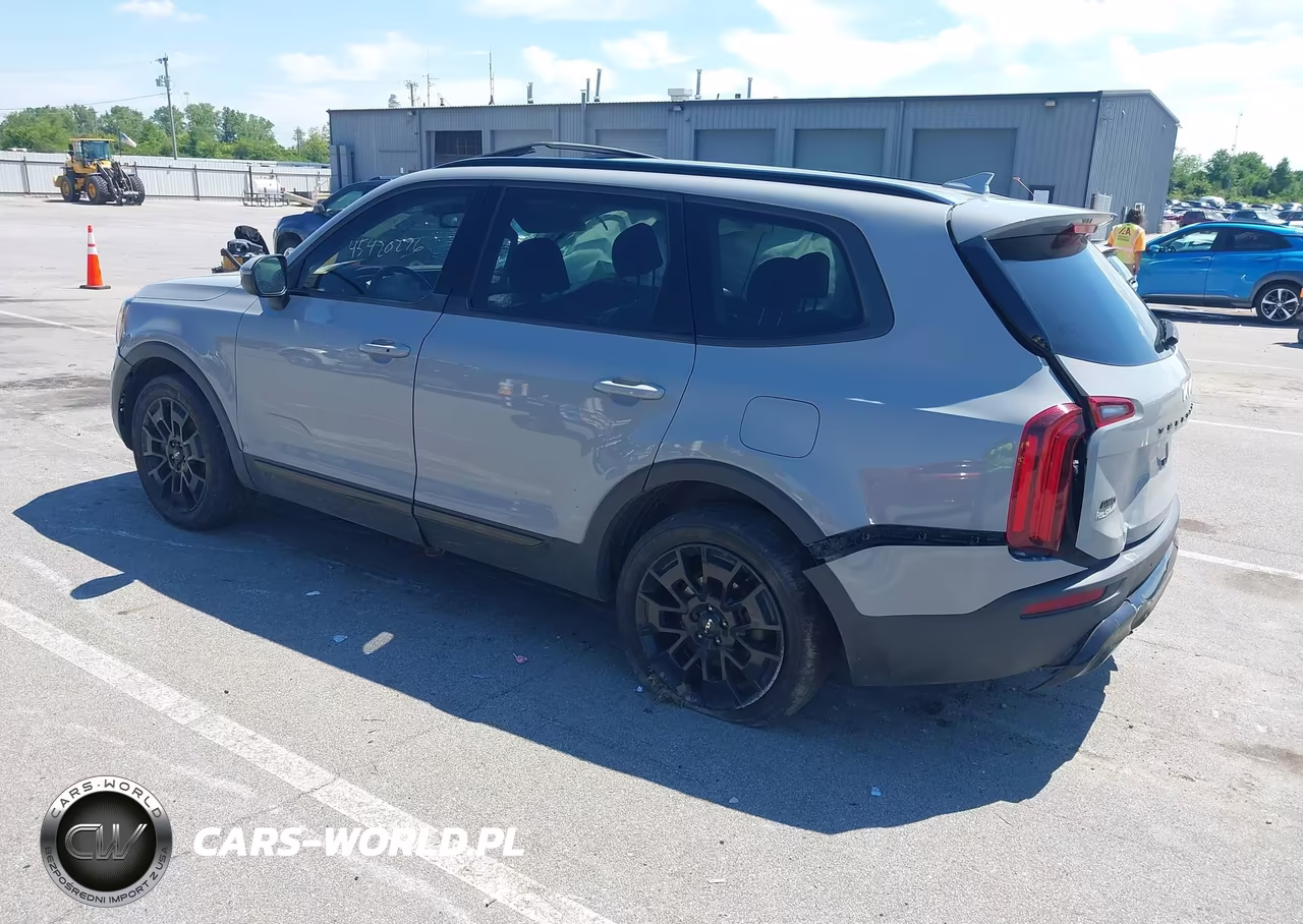2022 Kia Telluride Ex VIN:5XYP3DHC4NG287128 - 3