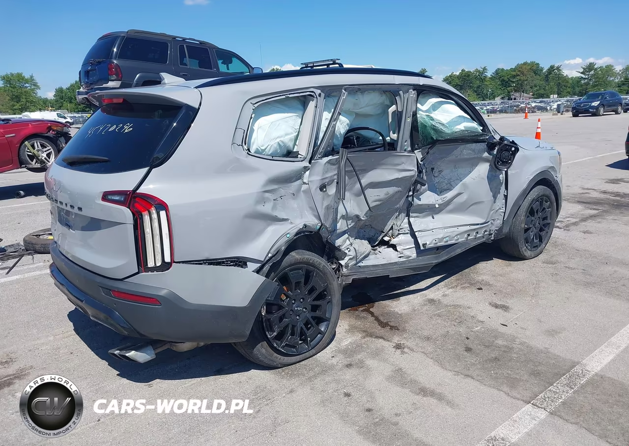 2022 Kia Telluride Ex VIN:5XYP3DHC4NG287128 - 4