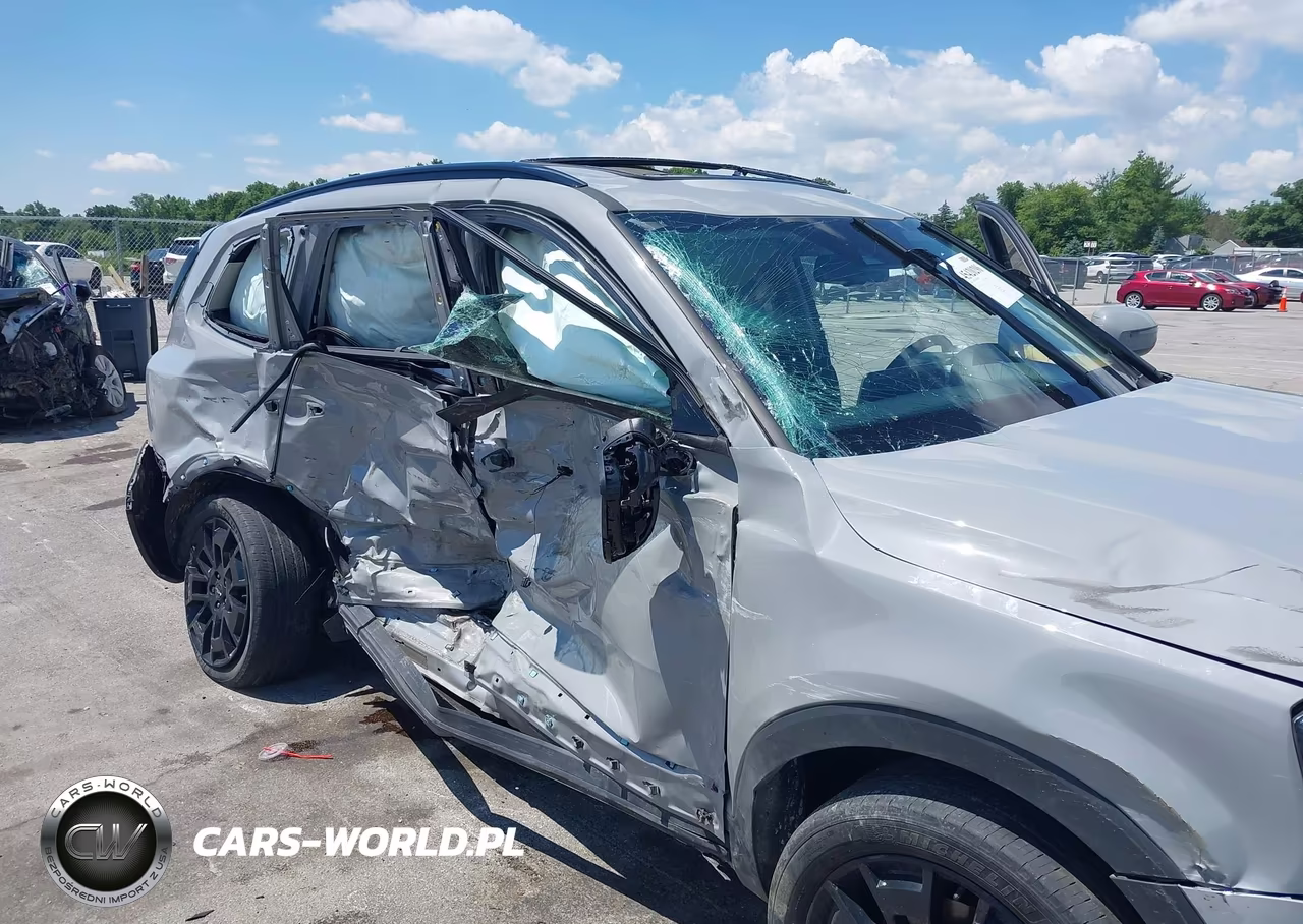2022 Kia Telluride Ex VIN:5XYP3DHC4NG287128 - 6