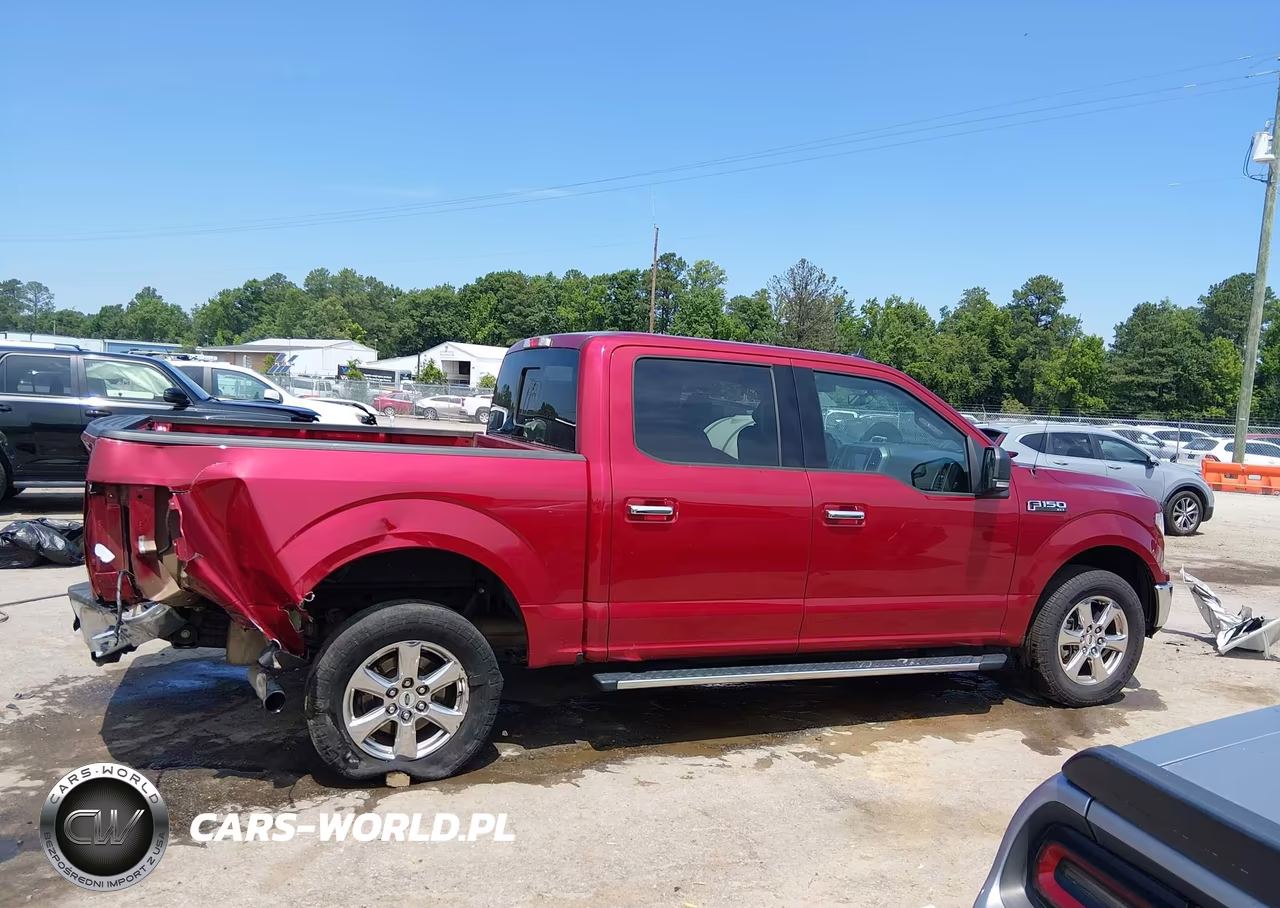 2019 Ford F-150 Xlt VIN:1FTEW1CP3KFD41105 - 13