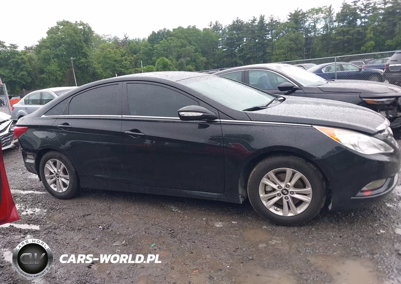 2014 Hyundai Sonata Gls VIN:5NPEB4AC0EH888954 - 13