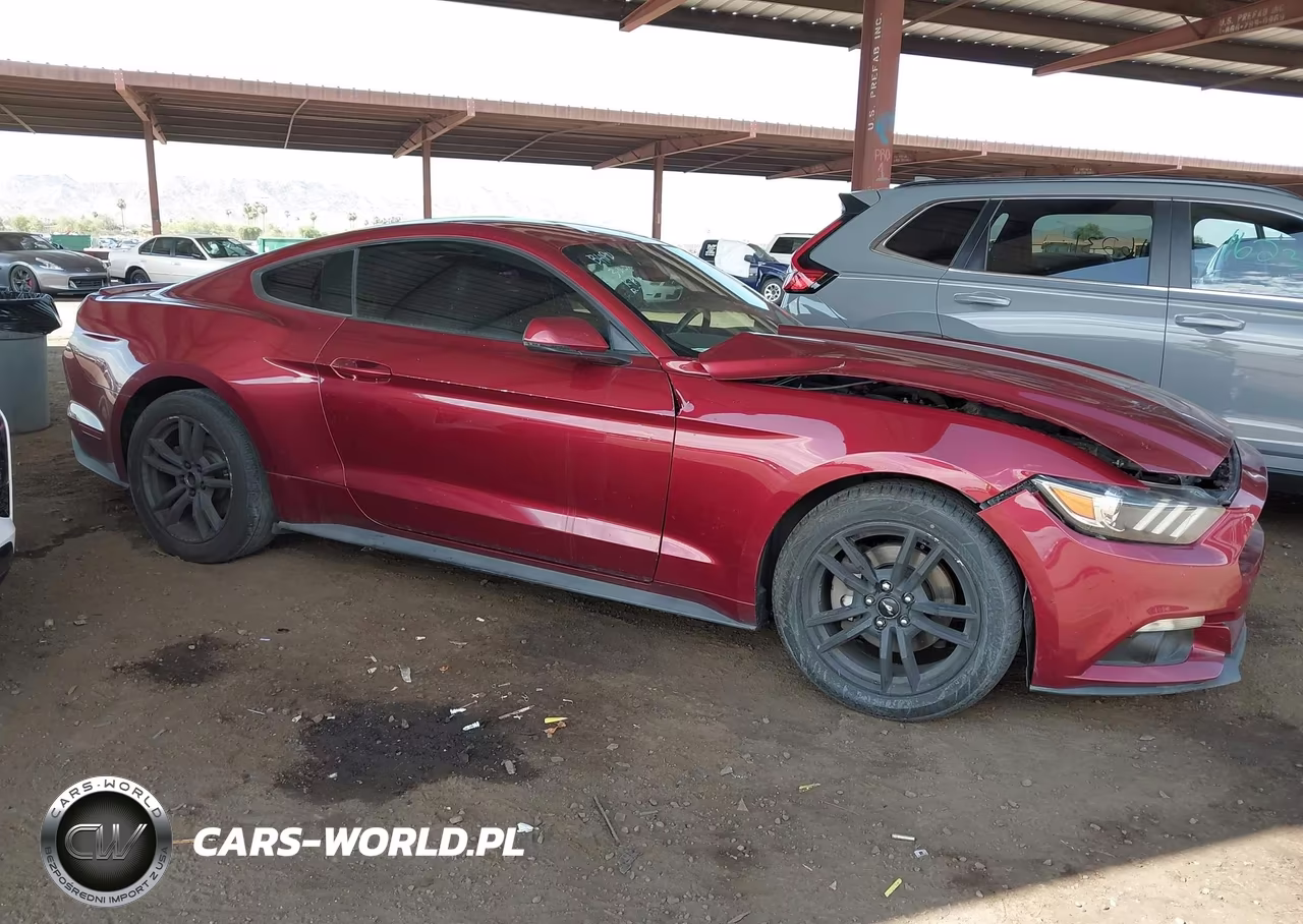 2015 Ford Mustang Ecoboost VIN:1FA6P8TH1F5312352 - 13