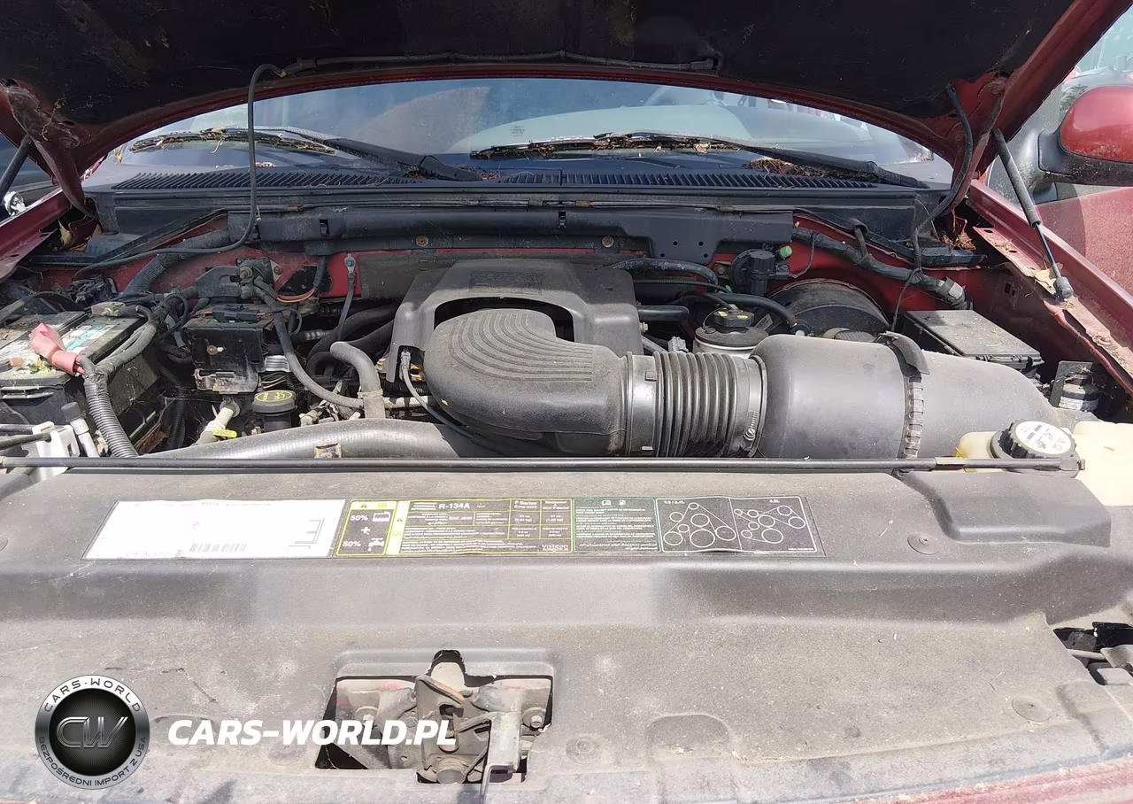 2003 Ford F-150 Lariat-Xlt VIN:1FTRW08LX3KD04448 - 10