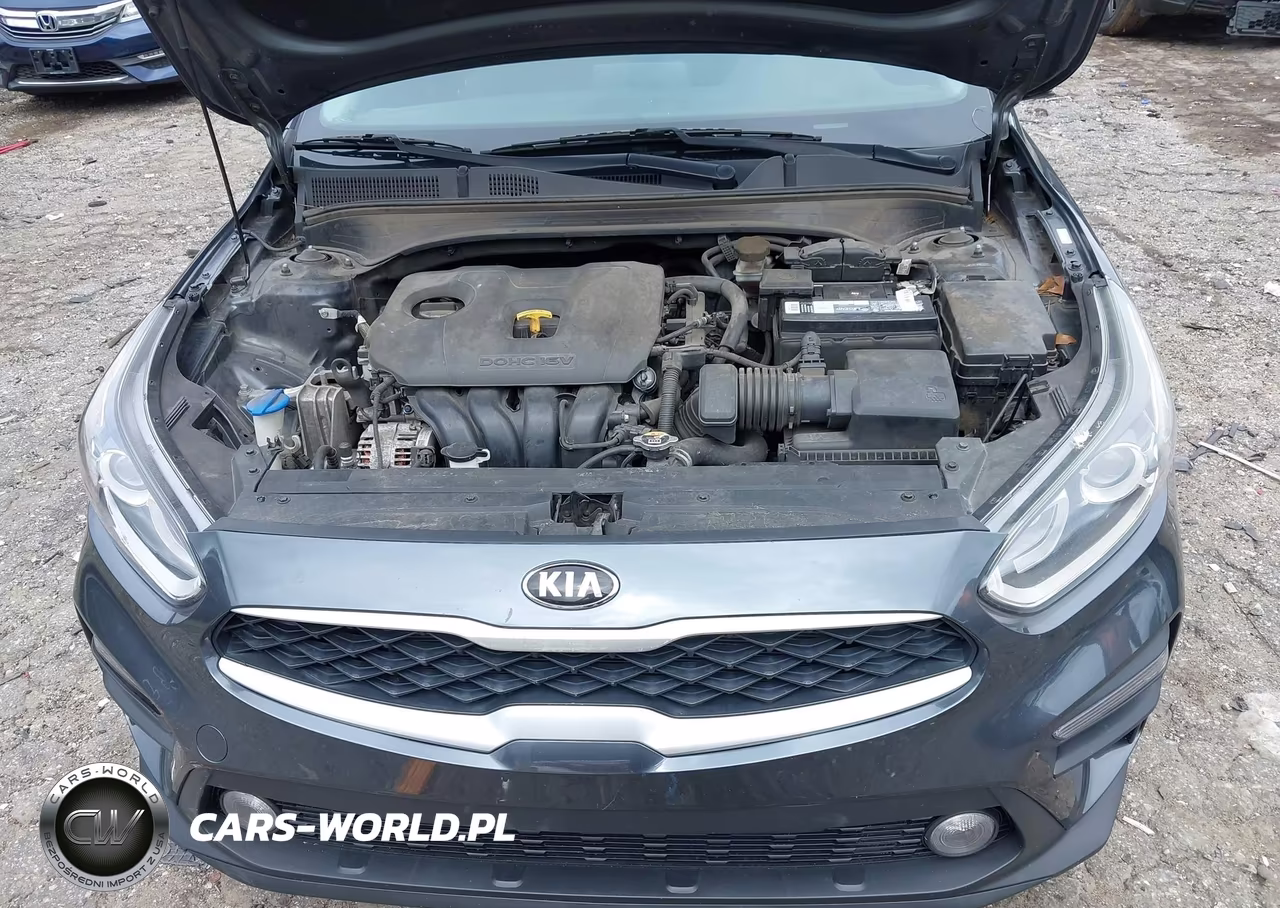 2020 Kia Forte Fe VIN:3KPF24AD5LE185137 - 10