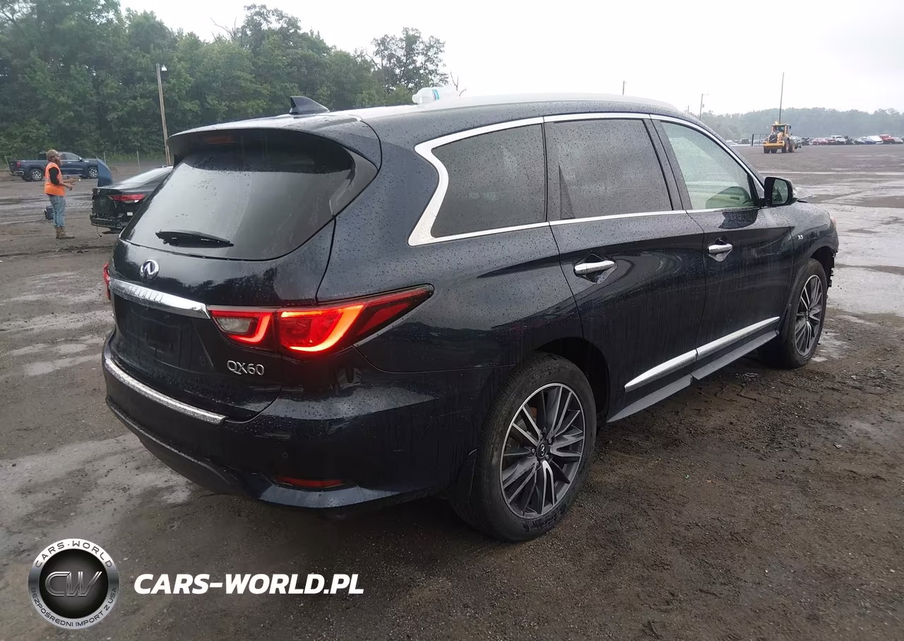 2020 Infiniti Qx60 Luxe Awd VIN:5N1DL0MM5LC535622 - 4