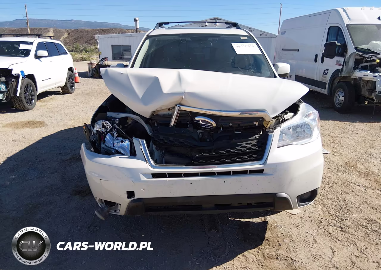2016 Subaru Forester 2.5I Premium VIN:JF2SJAFC5GH441603 - 12