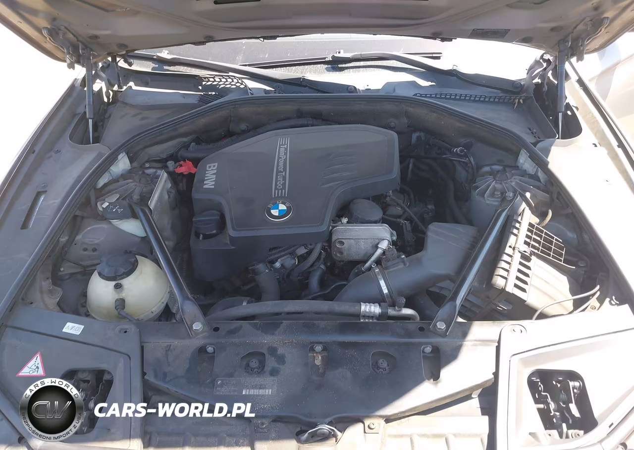 2014 BMW 528I xDrive VIN:WBA5A7C56ED219626 - 10