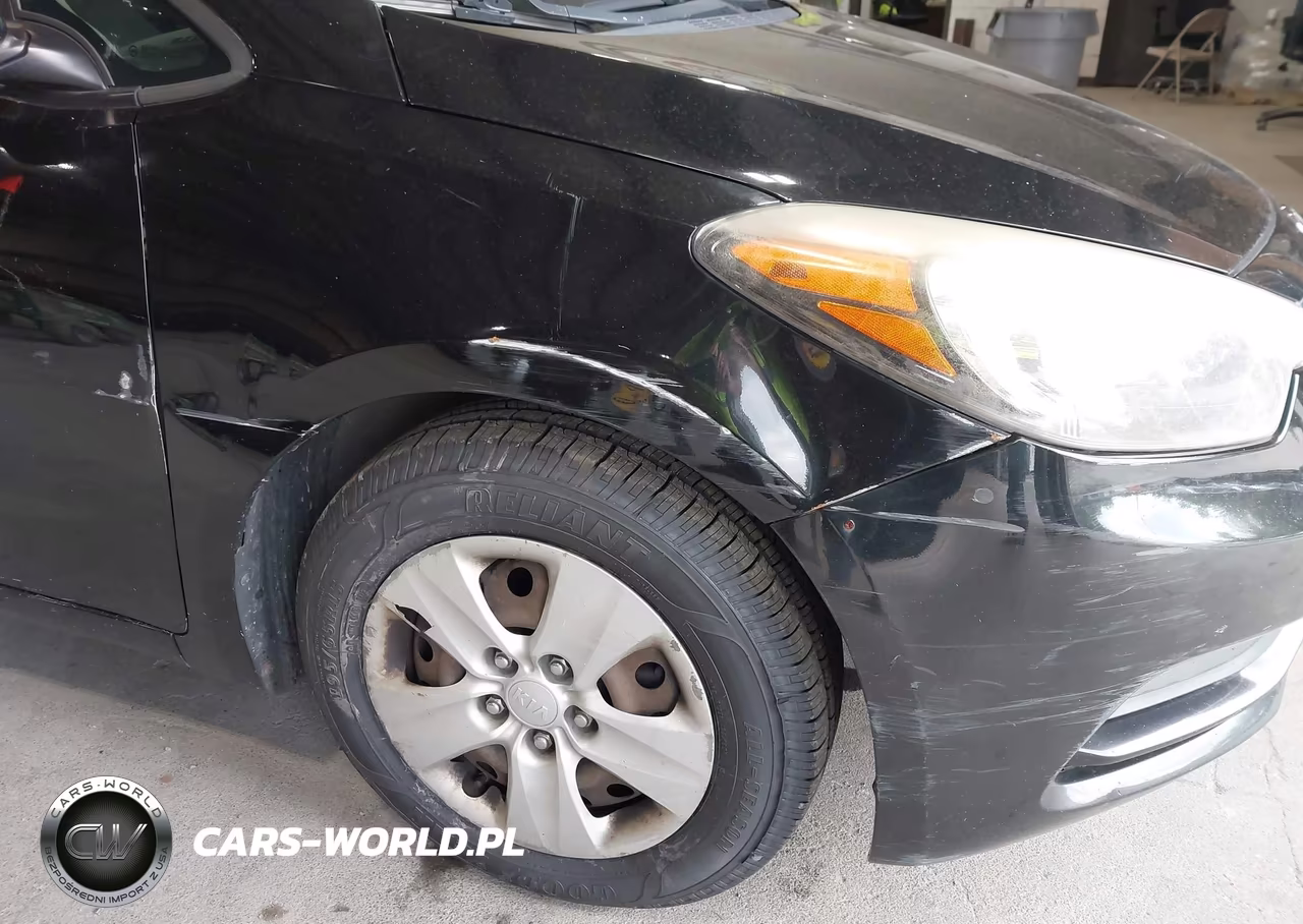 2014 Kia Forte Lx VIN:KNAFK4A67E5132243 - 14