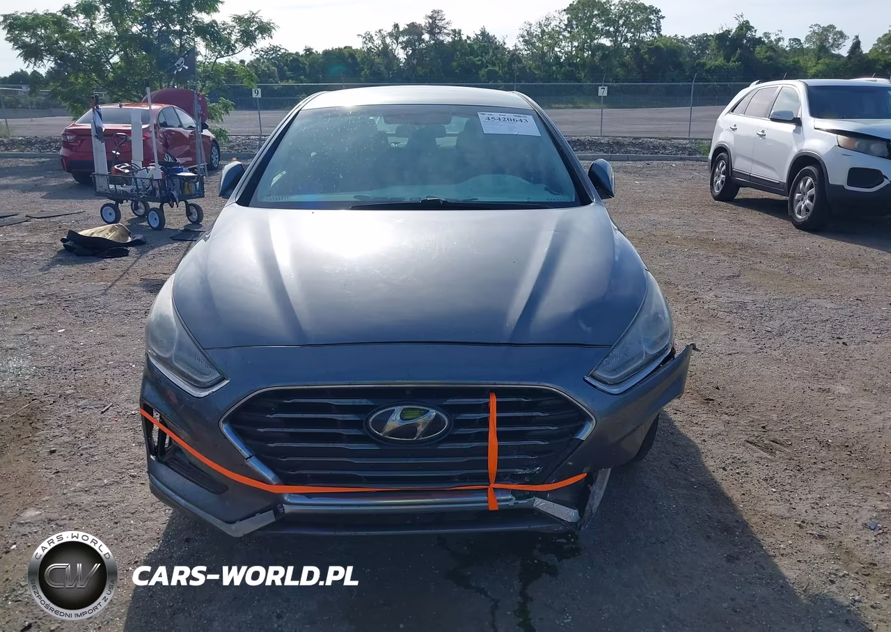 2019 Hyundai Sonata Se VIN:5NPE24AFXKH758301 - 12