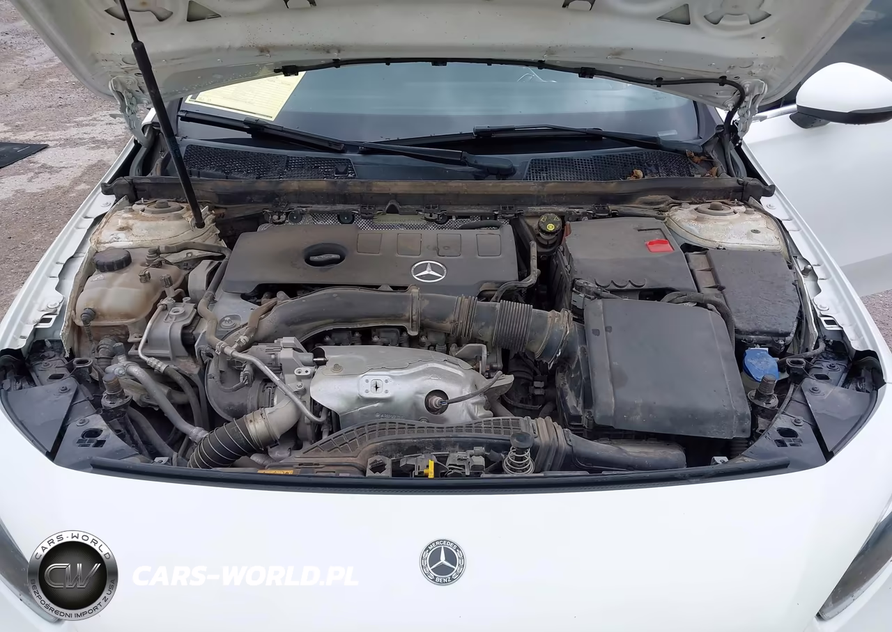 2019 Mercedes-Benz A 220 VIN:WDD3G4EB5KW017831 - 10
