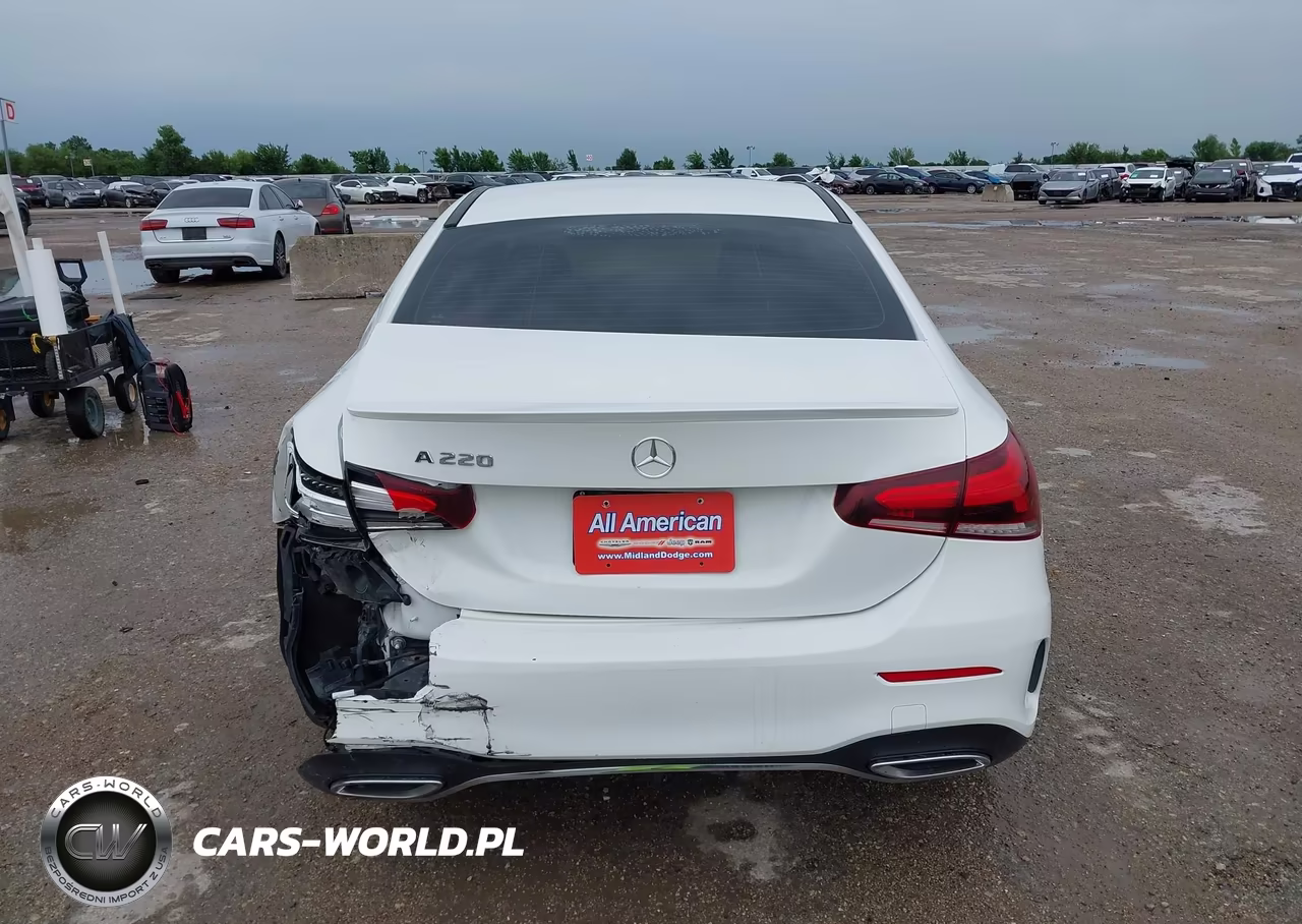 2019 Mercedes-Benz A 220 VIN:WDD3G4EB5KW017831 - 16