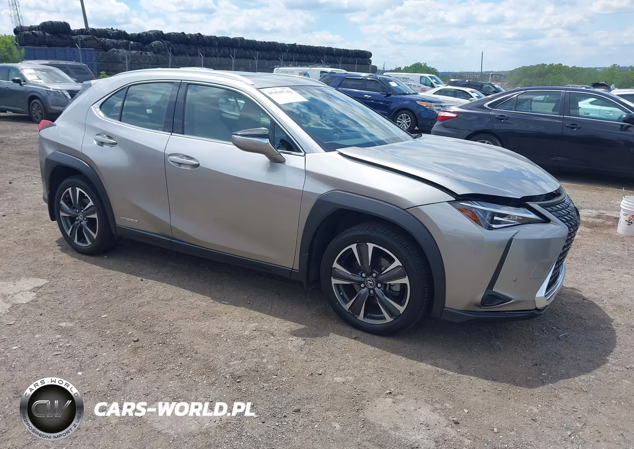2020 Lexus Ux 250H